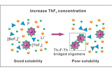Local structure and dissolution mechanism of ThF4 in FLiBe molten salts 2026.101046